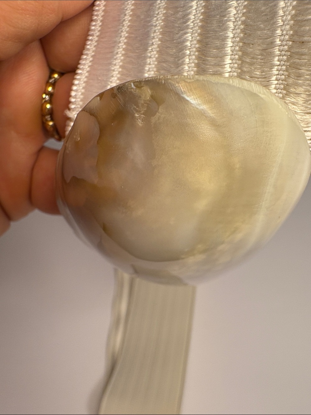 Vintage Abalone Pearlescent Shell Accent Stretch Waist Belt - Cream - Picture 10 of 11